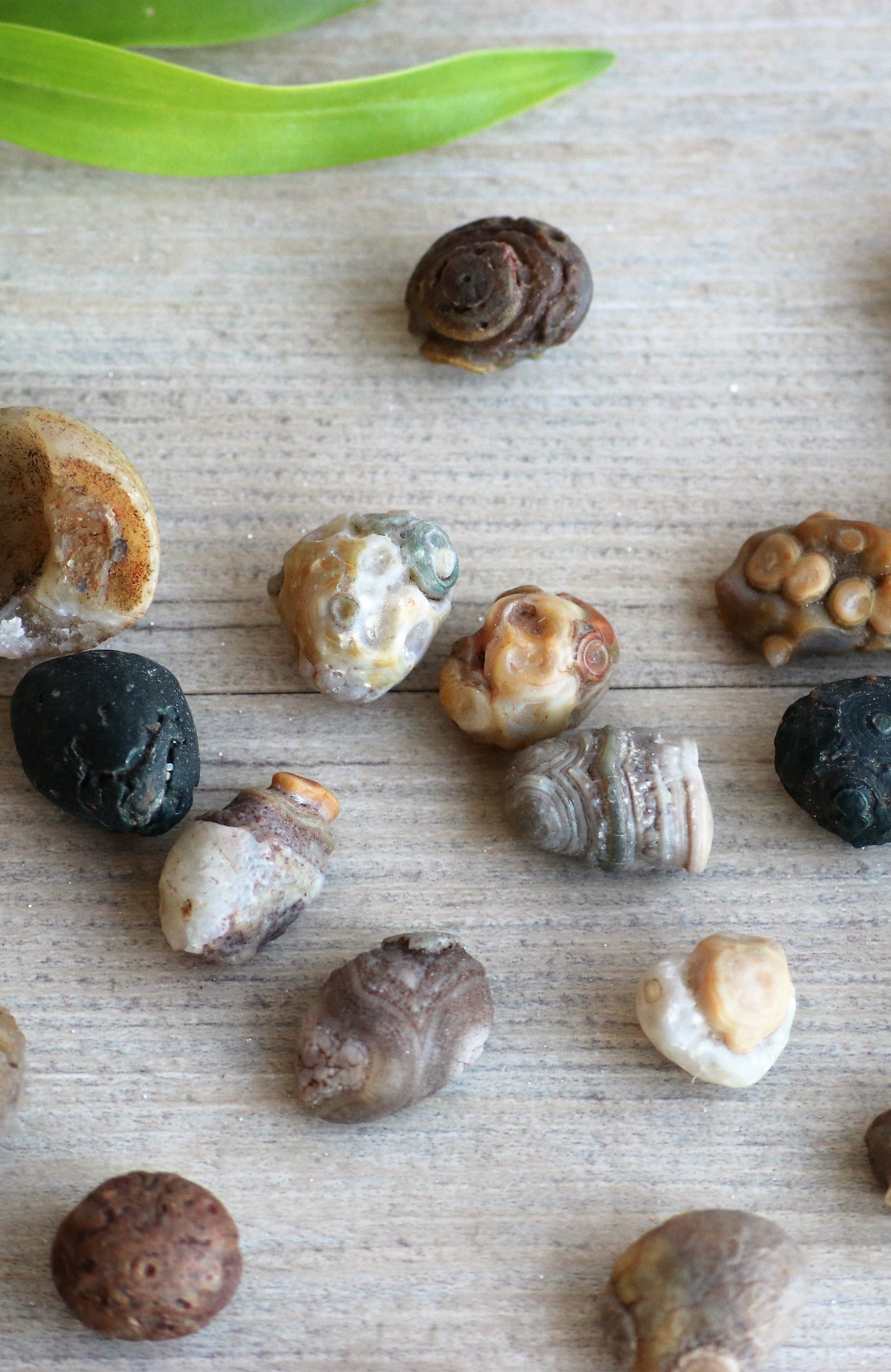 Gobi Desert Agate (Small) Tumbled Stone